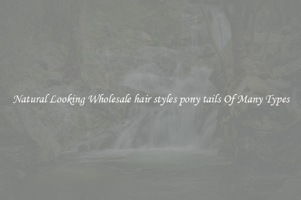 Natural Looking Wholesale hair styles pony tails Of Many Types