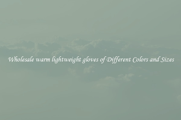 Wholesale warm lightweight gloves of Different Colors and Sizes
