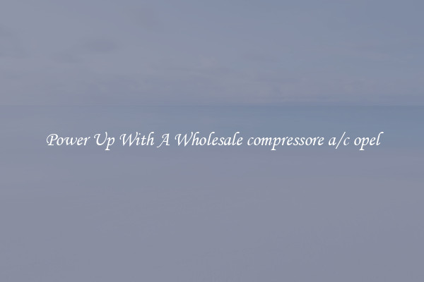 Power Up With A Wholesale compressore a/c opel