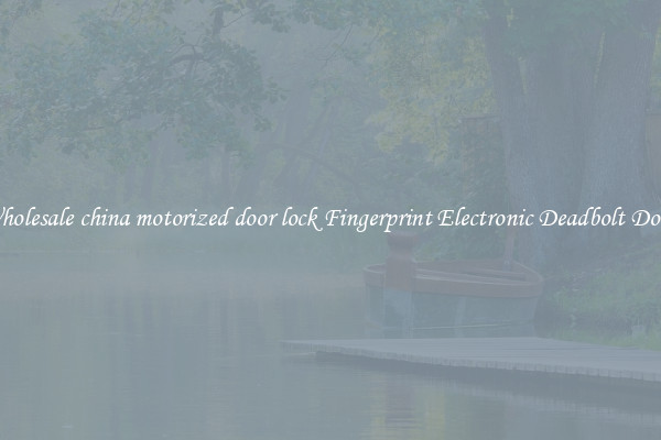 Wholesale china motorized door lock Fingerprint Electronic Deadbolt Door 