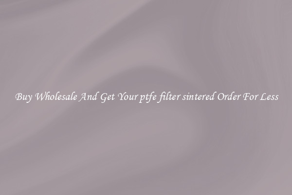 Buy Wholesale And Get Your ptfe filter sintered Order For Less
