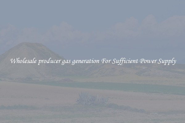 Wholesale producer gas generation For Sufficient Power Supply