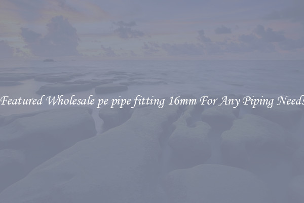 Featured Wholesale pe pipe fitting 16mm For Any Piping Needs