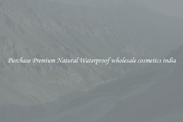 Purchase Premium Natural Waterproof wholesale cosmetics india