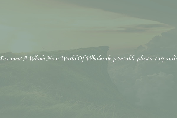 Discover A Whole New World Of Wholesale printable plastic tarpaulin