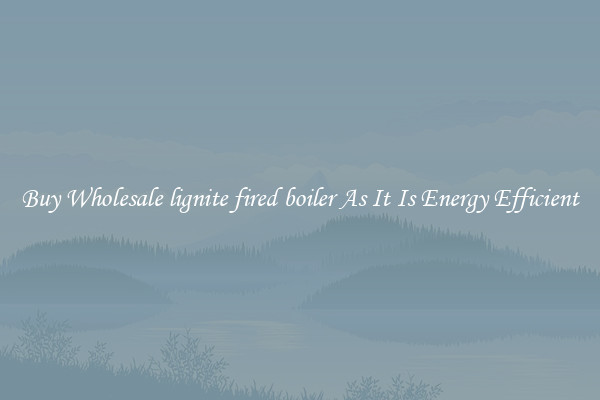 Buy Wholesale lignite fired boiler As It Is Energy Efficient