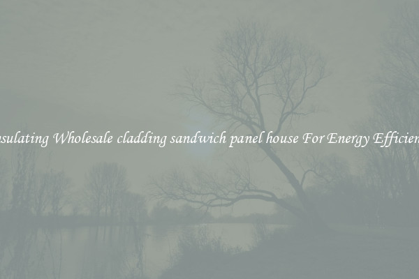 Insulating Wholesale cladding sandwich panel house For Energy Efficiency