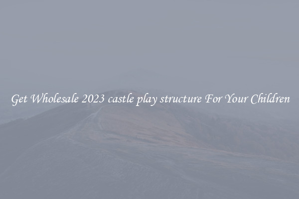 Get Wholesale 2023 castle play structure For Your Children