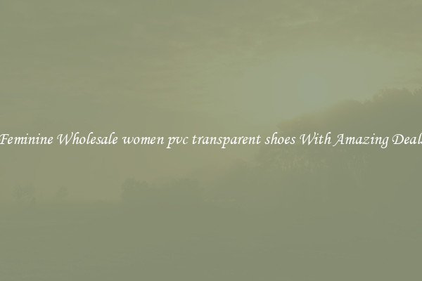 Feminine Wholesale women pvc transparent shoes With Amazing Deals