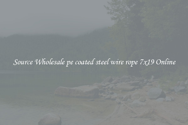 Source Wholesale pe coated steel wire rope 7x19 Online