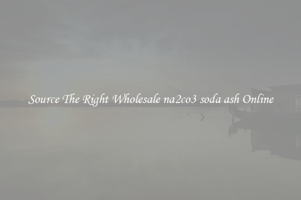 Source The Right Wholesale na2co3 soda ash Online