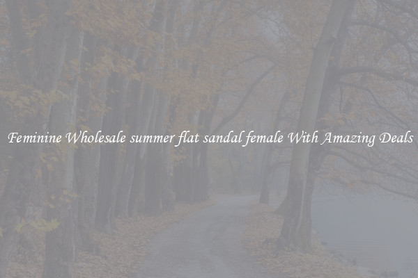 Feminine Wholesale summer flat sandal female With Amazing Deals
