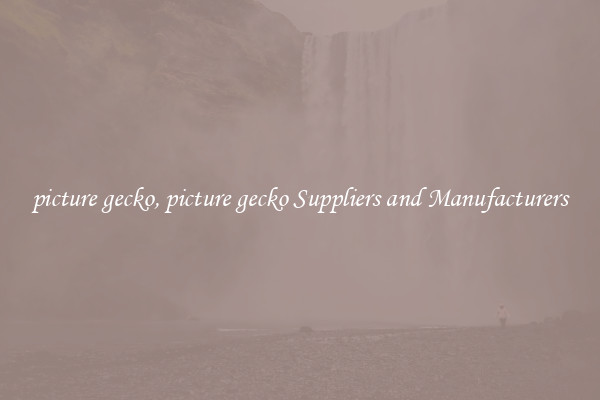 picture gecko, picture gecko Suppliers and Manufacturers