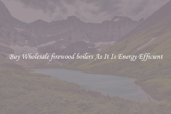 Buy Wholesale firewood boilers As It Is Energy Efficient