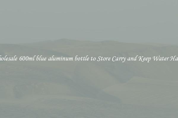 Wholesale 600ml blue aluminum bottle to Store Carry and Keep Water Handy