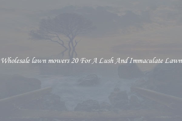 Wholesale lawn mowers 20 For A Lush And Immaculate Lawn