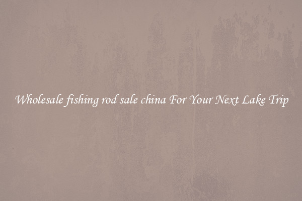 Wholesale fishing rod sale china For Your Next Lake Trip