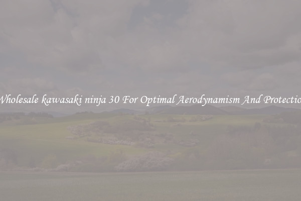 Wholesale kawasaki ninja 30 For Optimal Aerodynamism And Protection